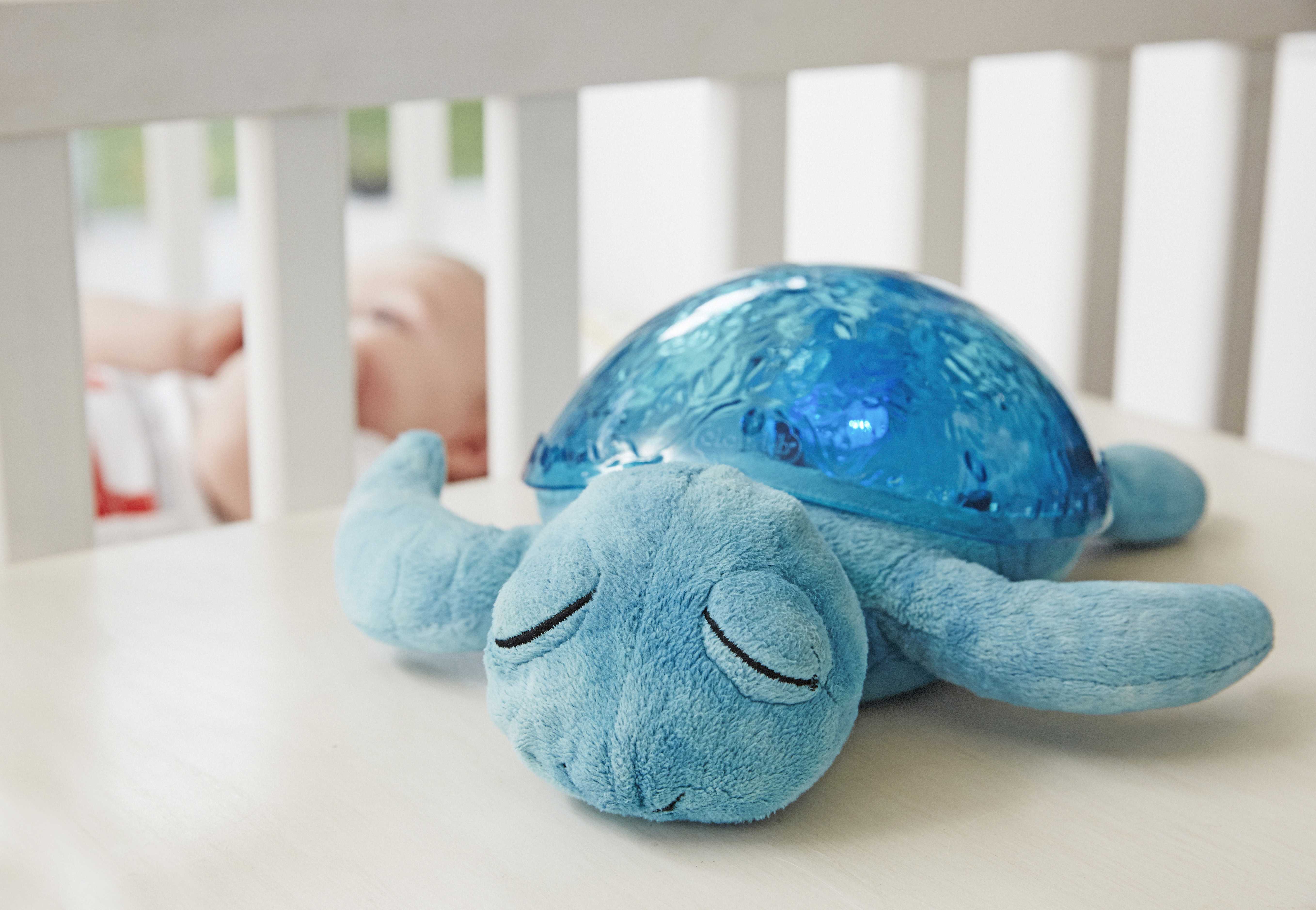CLB7423-AQ_Tranquil-Turtle-Aqua-LIFESTYLE3-0604