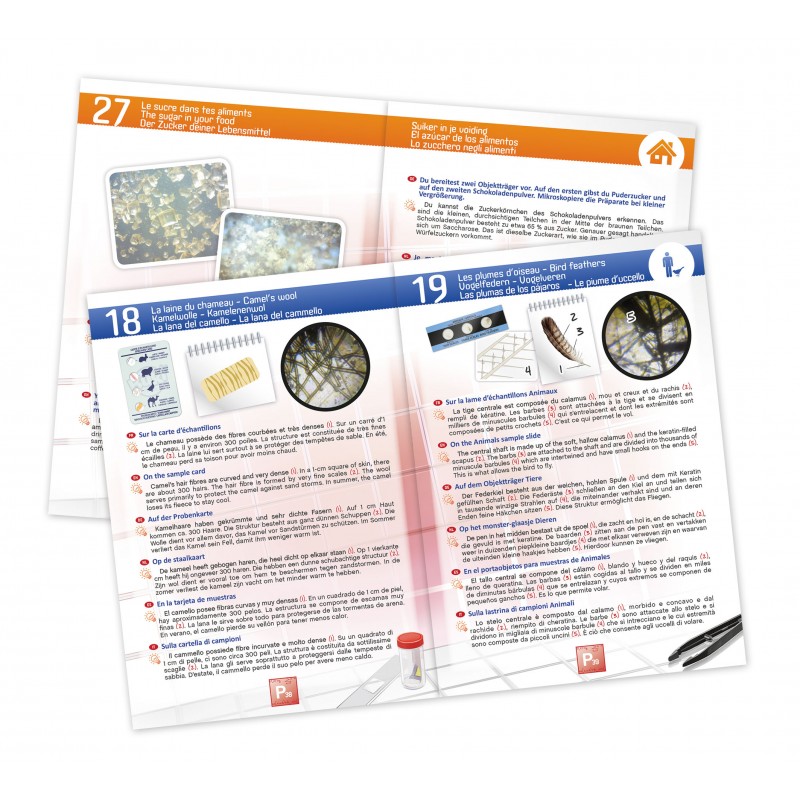microscope-30-expariences (2)