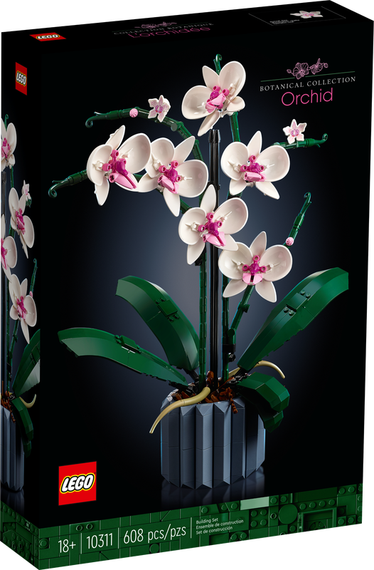 ORCHIDEA