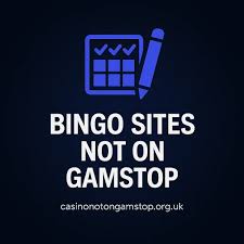 Exploring Non GamStop Bingo Sites Your Gateway to Endless Fun