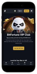 Comprehensive Guide to Bitfortune Payment Methods and Wallet Setup -1291244746